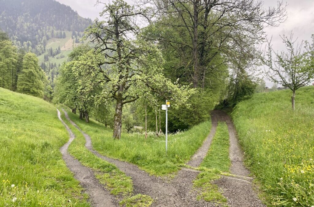 21.05.2023 – Schweizer Jakobsweg 20. Tag Heimreise & Fazit
