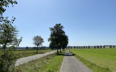 11.08.23 – Oberschwäbischer Jakobsweg 6. Tag/ 30. Lauftag